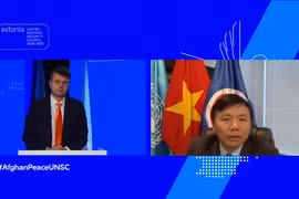 越南与联合国安理会：越南支持阿富汗人主导自己的和平进程