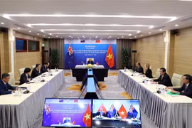 越南总理与新西兰总理举行视频会谈 正式将越新关系提升为战略伙伴关系