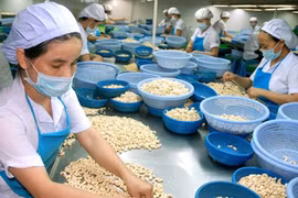 越南贸易顺差突破100亿美元大关
