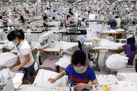EVFTA：欧盟市场的确困难重重 但公正透明机遇极多
