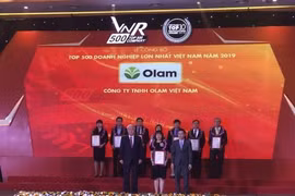 2019年越南企业500强榜单正式公布