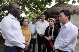 世行驻越首席代表：河江省旅游发展潜力巨大 