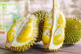 越南着力在澳大利亚市场促销榴莲