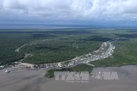 越南九龙江平原地区2019-2020冬春造产量创最高纪录