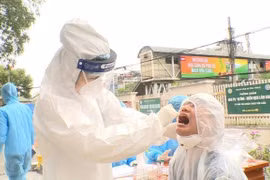 越南新增4例新冠肺炎确诊病例 累计222例