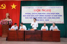 需要采取有效的长期措施 解决九龙江三角洲干旱和盐渍化情况