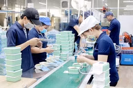 2020年11月份越南新设企业数量环比增长7.3%