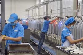 工业生产在新冠肺炎疫情中成为广宁省经济增长的亮点