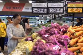 胡志明市消费物价指数增长0.66%