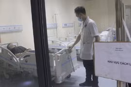 越南做好细心准备全面应对新冠肺炎疫情  赢得世界好评
