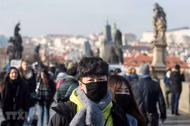  旅捷越南人积极参与当地防控新型肺炎疫情的战斗
