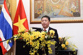 促进越南与泰国在各领域的合作关系