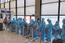 将在美国和日本的逾350名越南公民接回国