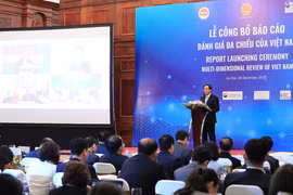 越南国家多维评价报告：面向更融合透明可持续发展的经济