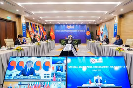 2020年东盟年：东盟推动致力于和平与可持续发展的伙伴关系