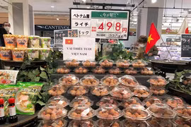 日本永旺总裁高度评价越南荔枝的质量