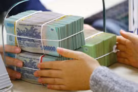 2020年前9个月越南财政预算收入完成计划的64.5%