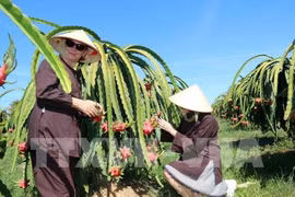 越南政府总理批准至2050年平顺省规划