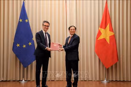 越南代表向欧盟驻河内代表团递交EVFTA和EVIPA的批准文件