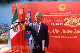 越南驻外使馆举行新春招待会喜迎新春
