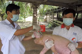 越南具备检测和发现猪流感病毒的能力