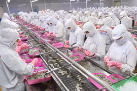 阮春强部长：农林水产品的出口仍有增长空间
