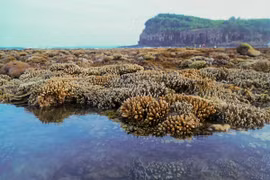 越南旅游：独特的燕礁——“地上水宫”