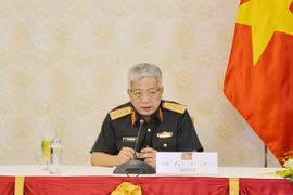 越南与日本以视频形式举行副防长级会谈