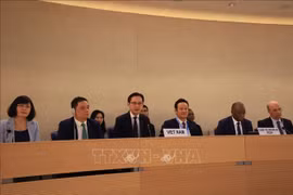 越南外交部副部长杜雄越在会议上发表讲话