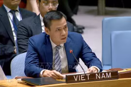 越南常驻联合国代表团团长邓黄江大使在会上发表讲话 图自越通社