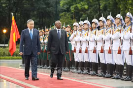 越共中央总书记、国家主席苏林主持仪式 欢迎几内亚比绍总统到访。图自越通社