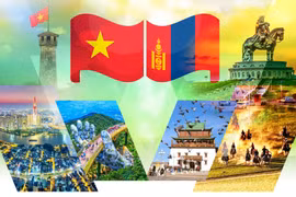 蒙古国是最早与越南建立外交关系的国家之一，越南是蒙古国在东南亚第一个建交的国家。