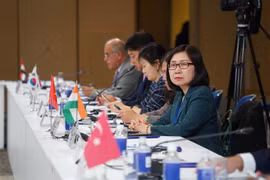 越南通讯社副社长段氏雪绒出席OANA执行委员会第53次会议。图自越通社