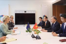苏林总书记、国家主席会见欧洲联盟委员会主席乌尔苏拉·冯德莱恩。图自越通社