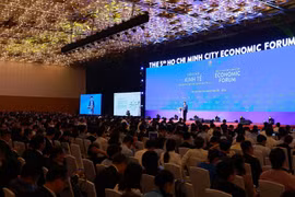 2014年胡志明市经济论坛开幕。图自越通社