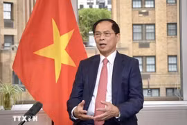 越南政府副总理兼外交部长裴青山。图自越通社
