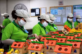 附图 图自越通社