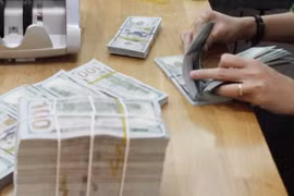 美国将越南列为货币操纵国：保持越美密切合作 维护双边关系的良好发展势头（第二期）