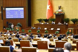 第十五届国会第八次会议通过有关2025年经济社会发展计划的决议。图自越通社