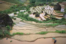 越南旅游：莱州省昆呵乡注水季节梯田美成水彩画