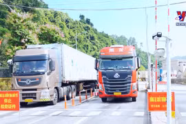 谅山省口岸提升通关服务 农产品出口大幅增长