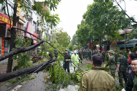 台风“摩羯”给河内造成巨大损失：一人死亡、2800棵树木倒伏