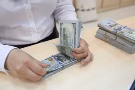 胡志明市的侨汇收入一直高居全国第一