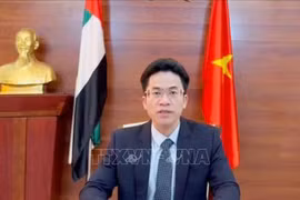 越南驻阿联酋大使阮青叶。图自越通社