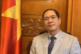 越南驻保加利亚大使杜黄龙。图自越通社