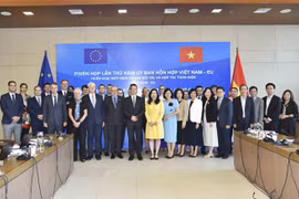 出席越南与欧盟混合委员会第五次会议代表合影。图自越通社