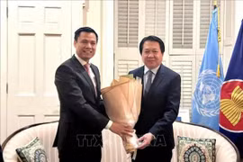 越南常驻联合国代表团团长邓黄江前来向老挝常驻联合国代表团庆祝老挝国庆49周年。图自越通社