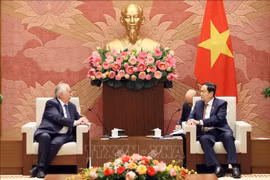 越共中央政治局委员、越南国会常务副主席陈青敏在河内会见比利时国务大臣、众议院前议长安德烈·弗拉奥。图自越通社