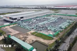 第三号台风对海防市许多工业区造成严重损失。图自越通社