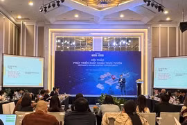越南电子商务协会（VECOM）与国际电子商务研究组织Access Partnership在河内联合举行“在线出口发展研讨会”。图自越通社